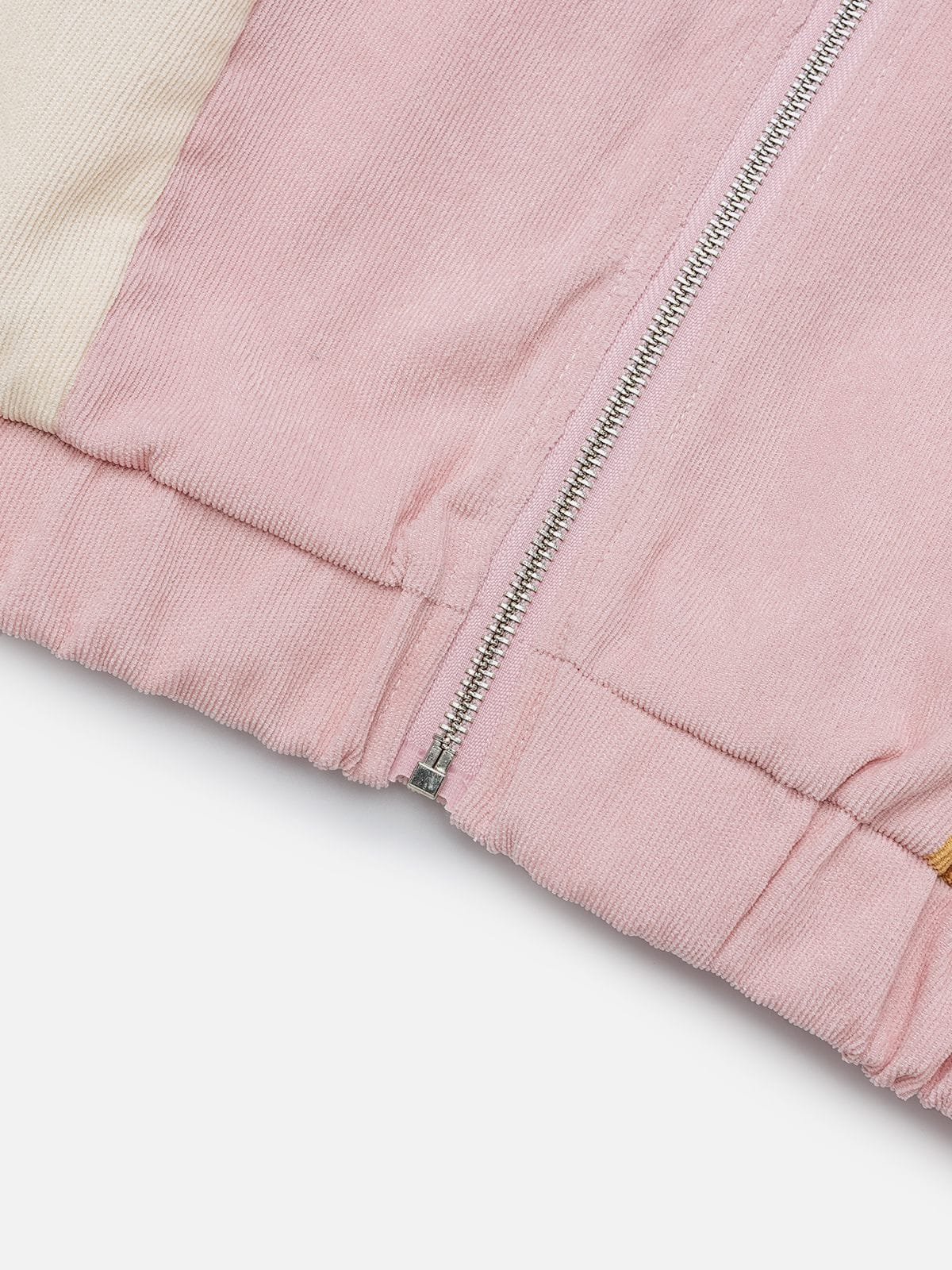 Aelfric Eden Cat Color Block Jacket